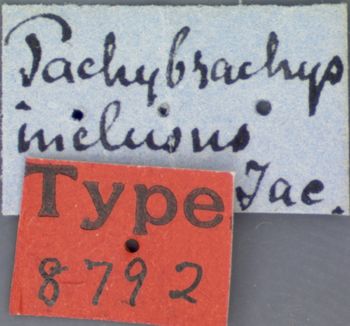 Media type: image; Entomology 8792   Aspect: labels